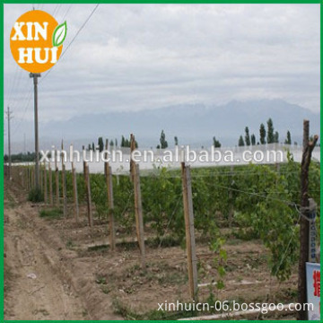 anti hail net for agriculture application